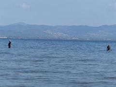 183 D19 PRESQU ILE DE GIENS 2_000008